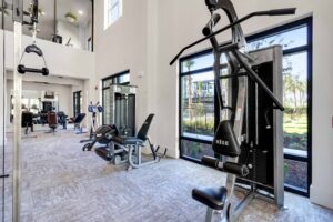 Modern gym with exercise equipment, large windows, and mirrors for a bright workout environment.