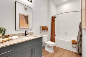 Modern bathroom with granite countertop, framed art, and orange accents, featuring a tub-shower combo and wood floor.