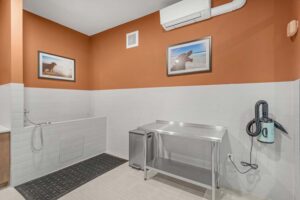 Modern pet washroom with orange walls, dog shower, grooming table, and air dryer.